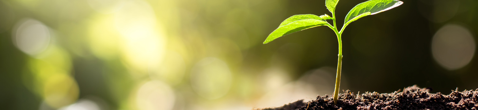 envirez-header.jpg